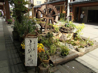 131006_1253_いいやま花フェスタ 寺町花街道（飯山市）