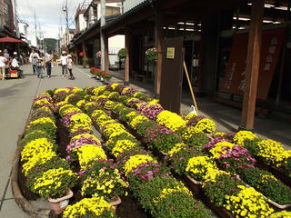 131006_1256_いいやま花フェスタ 寺町花街道（飯山市）