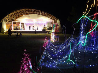 131011_2030_光のファンタジー２０１３（飯島町）