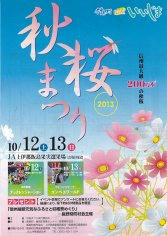 13_秋桜まつり（表）