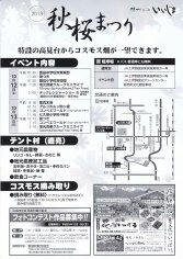 13_秋桜まつり（裏）