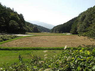 131012_1108_火山峠にある芭蕉の松（駒ヶ根市）