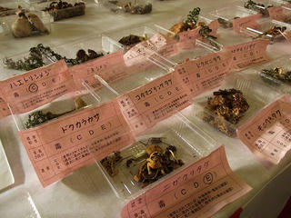 131012_1050_きのこ祭り（駒ヶ根市東伊那）