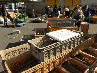 131117_0959_信州松代・ながいも祭り（長野市）