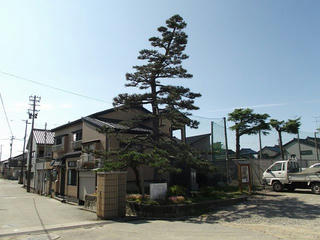 130803_1522_上杉謙信の歌碑・ときわの松（富山県魚津市）