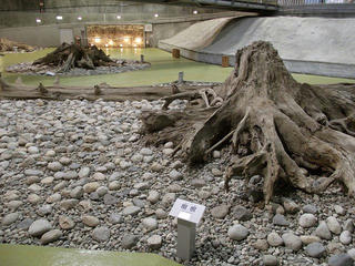 130803_1620_魚津埋没林博物館・ドーム館（富山県魚津市）