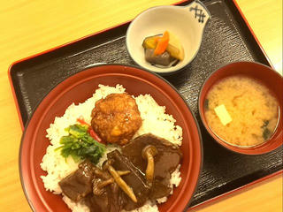 140210_1237_道の駅花の里いいじまにある味処みよしの「馬か丼」（飯島町）