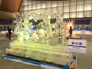 140223_1507_2014氷の彫刻展（長野市）