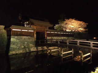 140416_2008_松代城跡の夜桜（長野市松代町）