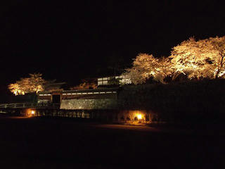 140416_2036_松代城跡の夜桜（長野市松代町）