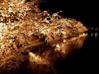 140419_2029_臥竜公園さくらまつり（須坂市）