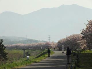 140504_0734_千曲川ふれあい公園（小布施町）