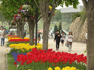 140504_1628_国営越後丘陵公園（新潟県長岡市）