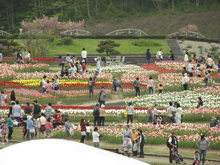 140504_1644_国営越後丘陵公園（新潟県長岡市）