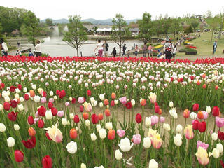 140504_1638_国営越後丘陵公園（新潟県長岡市）