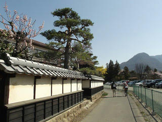 140412_0923_第１１回信州松代ウォーキング・あんずの花と山里コース１２ｋｍ（長野市松代町）