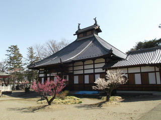 140412_0937_第１１回信州松代ウォーキング・あんずの花と山里コース１２ｋｍ（長野市松代町）