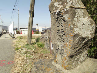 140412_0945_第１１回信州松代ウォーキング・あんずの花と山里コース１２ｋｍ（長野市松代町）