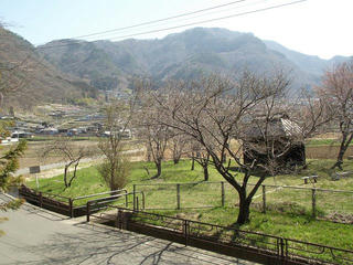 140412_1000_第１１回信州松代ウォーキング・あんずの花と山里コース１２ｋｍ（長野市松代町）