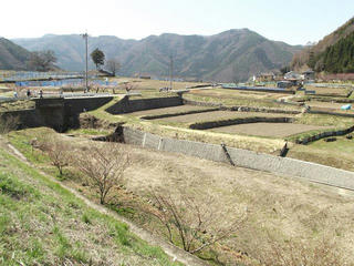 140412_1044_第１１回信州松代ウォーキング・あんずの花と山里コース１２ｋｍ（長野市松代町）