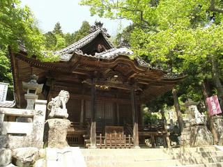 140510_1346_阿島の大藤（喬木村）