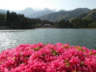 140510_1532_千人塚公園・城ヶ池池畔に咲くつつじ（飯島町）