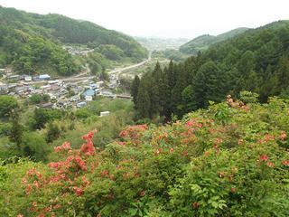 140525_1107_豊野つつじ山公園（長野市）