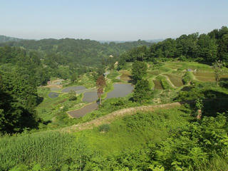 140601_1543_蒲生の棚田（新潟県十日町市）