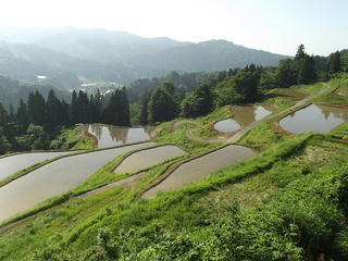 140601_1621_松之山・天水島周辺の棚田（新潟県十日町市）