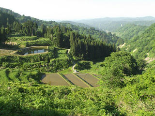 140601_1623_1_松之山・宝渓谷の棚田（新潟県十日町市）