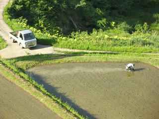 140601_1623_2_松之山・宝渓谷の棚田（新潟県十日町市）