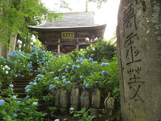 140705_1757_あじさい寺・高源院（飯山市）