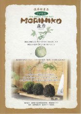 14_4_温井パンフ（飯山市）