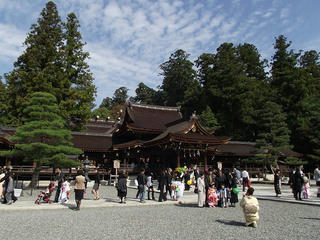 111103_1134_多賀大社（滋賀県犬上郡多賀町）