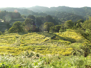 140920_1641_儀明の棚田（新潟県十日町市）