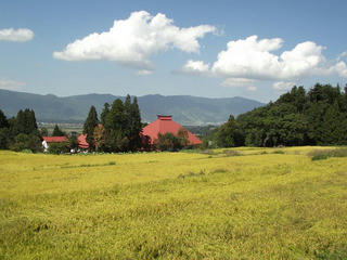 140921_1220_実りの秋～黄金色に染まる木島平の秋の風景（木島平村）