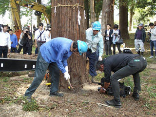 140923_0942_善光寺御開帳・回向柱伐採（長野市松代町）