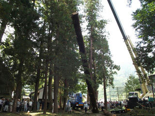 140923_0944_善光寺御開帳・回向柱伐採（長野市松代町）
