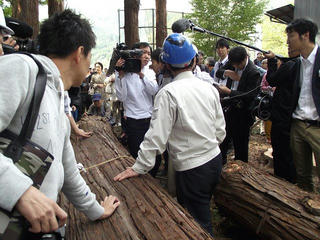 140923_0948_2_善光寺御開帳・回向柱伐採（長野市松代町）