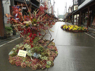 141005_1234_寺町花街道 いいやま花フェスタ（飯山市）