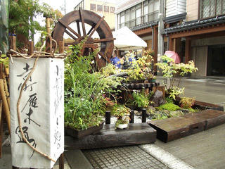 141005_1224_寺町花街道 いいやま花フェスタ（飯山市）