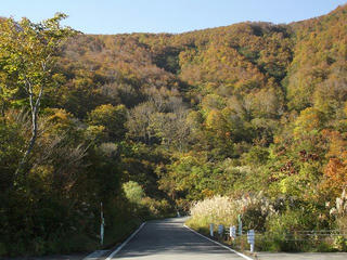141018_1416_県道上越飯山線（関田峠）
