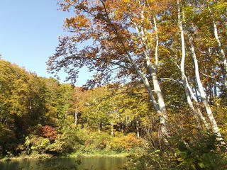 141018_1430_県道上越飯山線（関田峠・茶屋池）