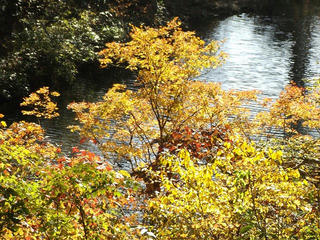 141018_1434_県道上越飯山線（関田峠・茶屋池）