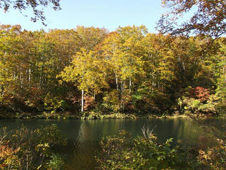 141018_1442_県道上越飯山線（関田峠・茶屋池）