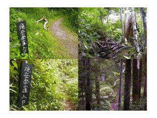 010804_0744_北アルプス・焼岳（松本市）