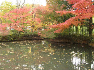 141108_1500_象山神社（長野市松代町）