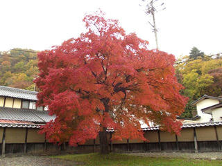141108_1508_1_佐久間象山宅跡（長野市松代町）