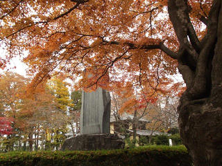 141108_1454_象山神社・桜賦（長野市松代町）