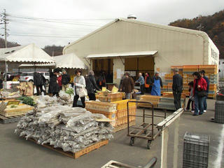 141123_1137_ながいも祭り（長野市松代町）